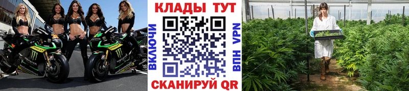 Купить закладку Снежногорск KRAKEN tor  APVP  Меф  Конопля  COCAIN  ГАШ 