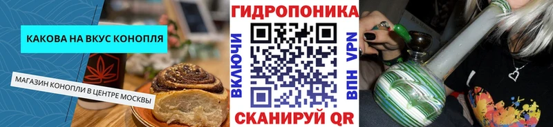 где можно купить наркотик  Снежногорск  Cannafood конопля 