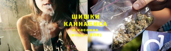 шишки Алексеевка