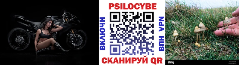Псилоцибиновые грибы мицелий  продажа наркотиков  Снежногорск 